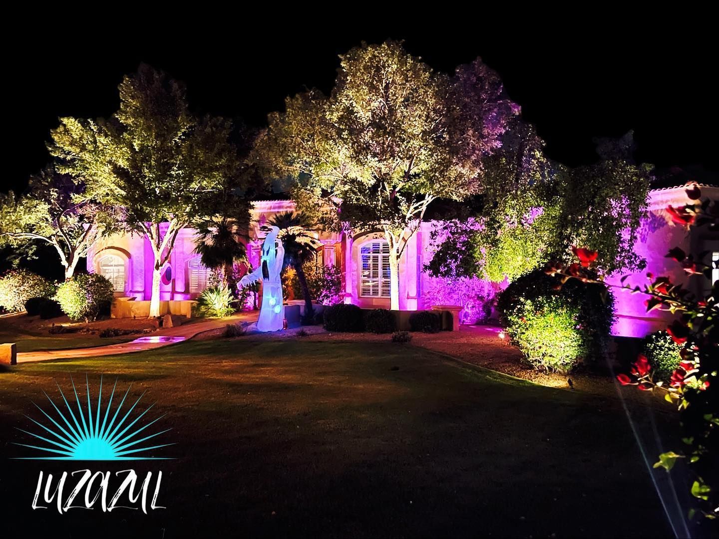 Night-lit garden with purple and pink uplighting, trees, shrubs, and a lit walkway at dusk.