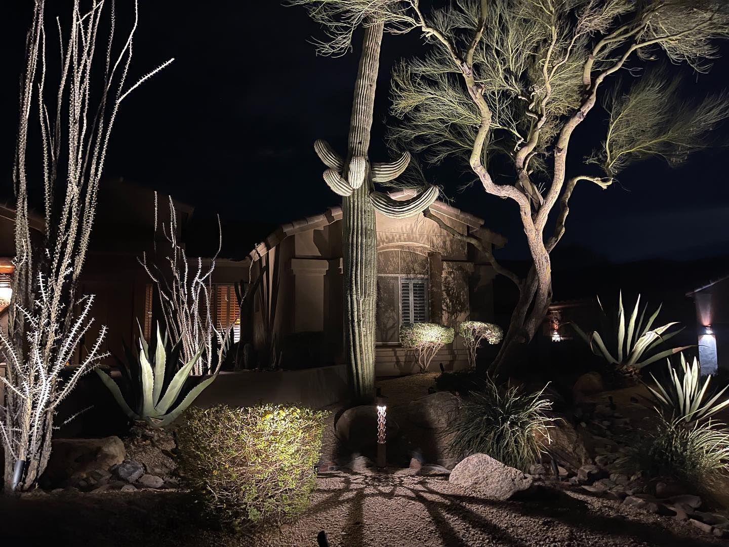 Nighttime garden with illuminated cacti, palm trees, and a lit house facade.