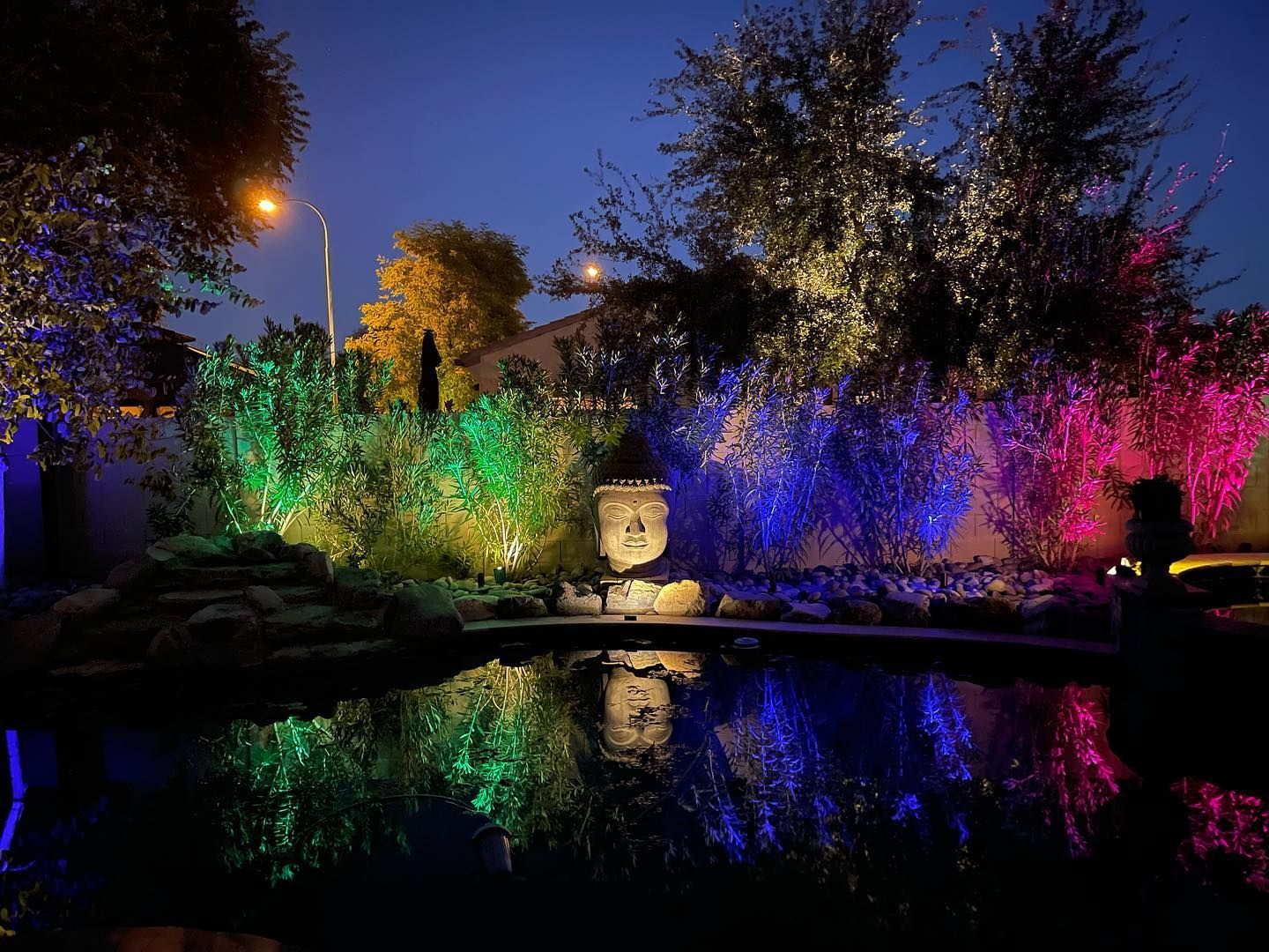 Night garden with colorful illuminated trees reflected in a still pond