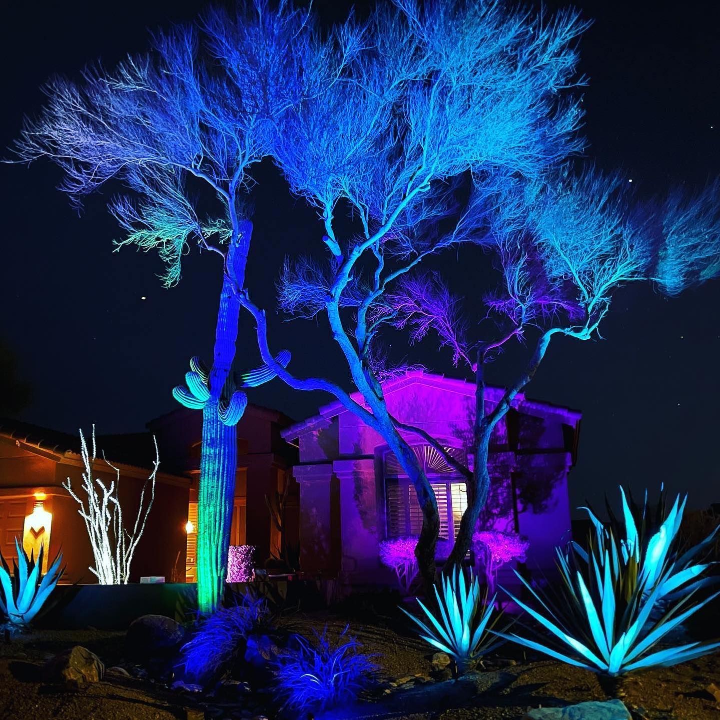 Night garden lit in neon blue and purple, with glowing trees and a house at center