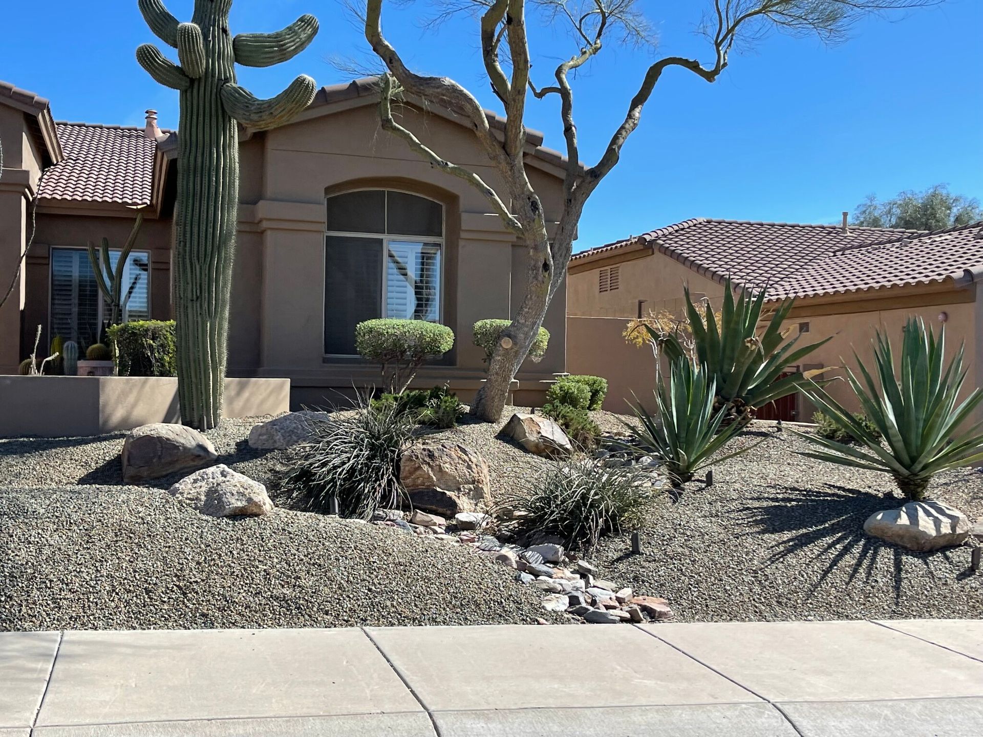 Desert-style house with cactus landscaping, gravel yard, and a clear blue sky.