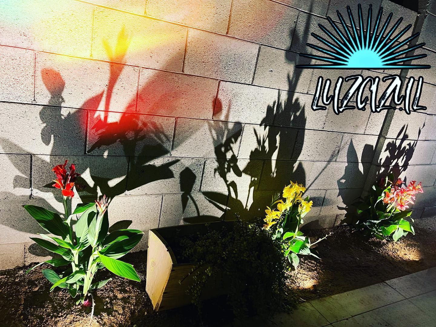 Graffiti mural on a cinderblock wall with sunburst, black abstract figures, and flowers planted below