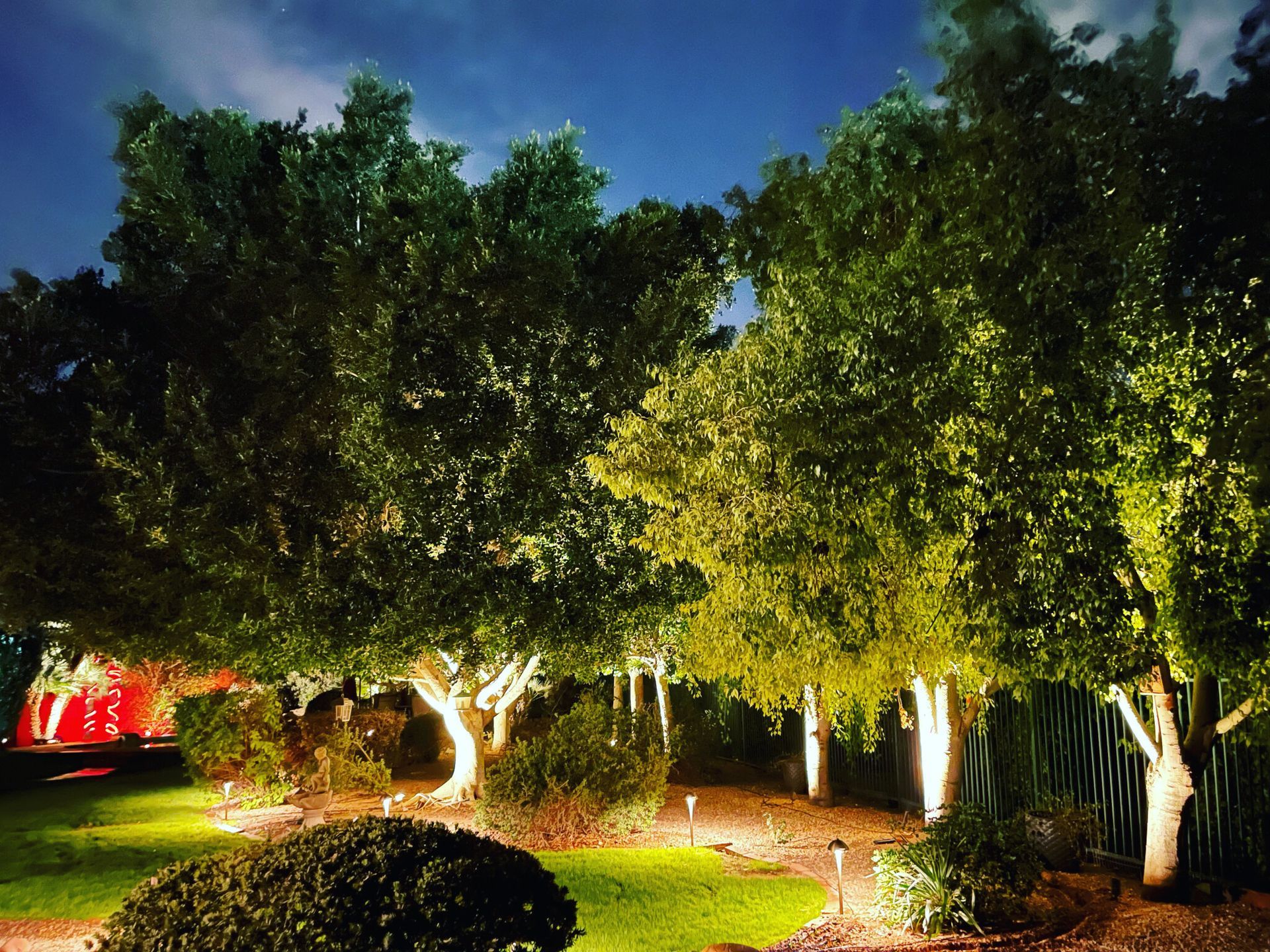 Illuminated trees and shrubs in a landscaped garden at night under a dark blue sky