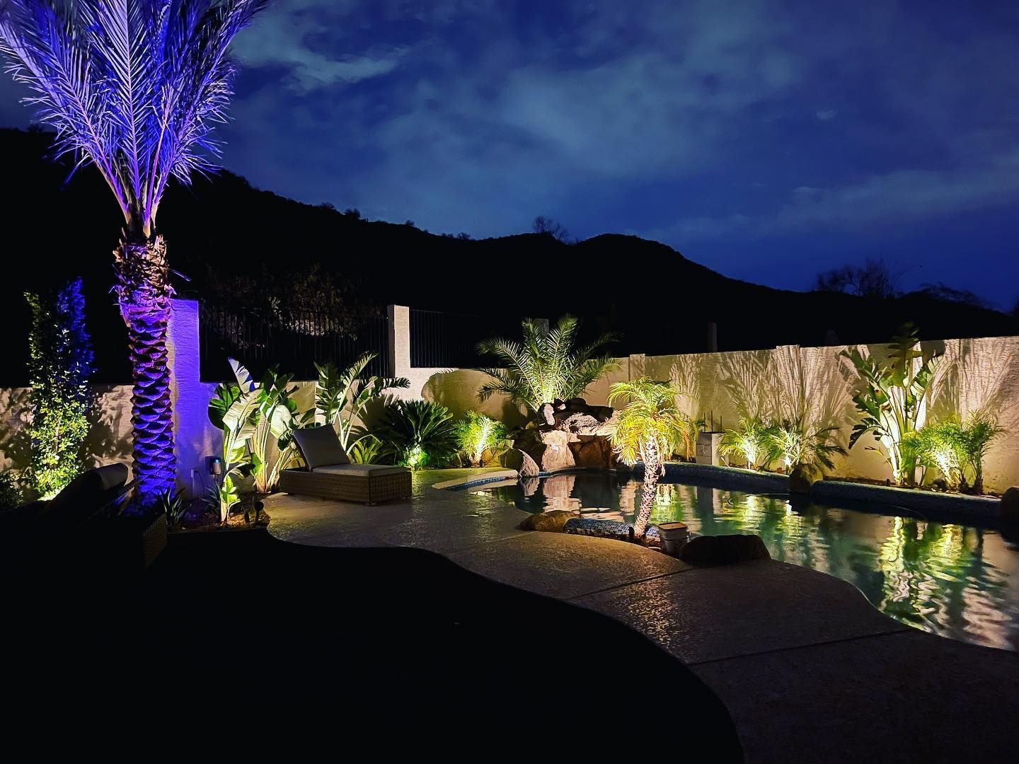 Nighttime backyard with illuminated palm tree, stone wall, and glowing poolside plants.