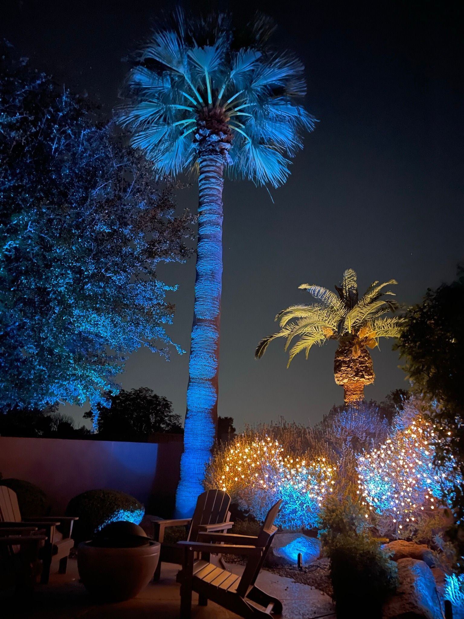 Blue-lit palm trees and patio seating at night, with glowing decorative lights and a warm-lit palm in the background