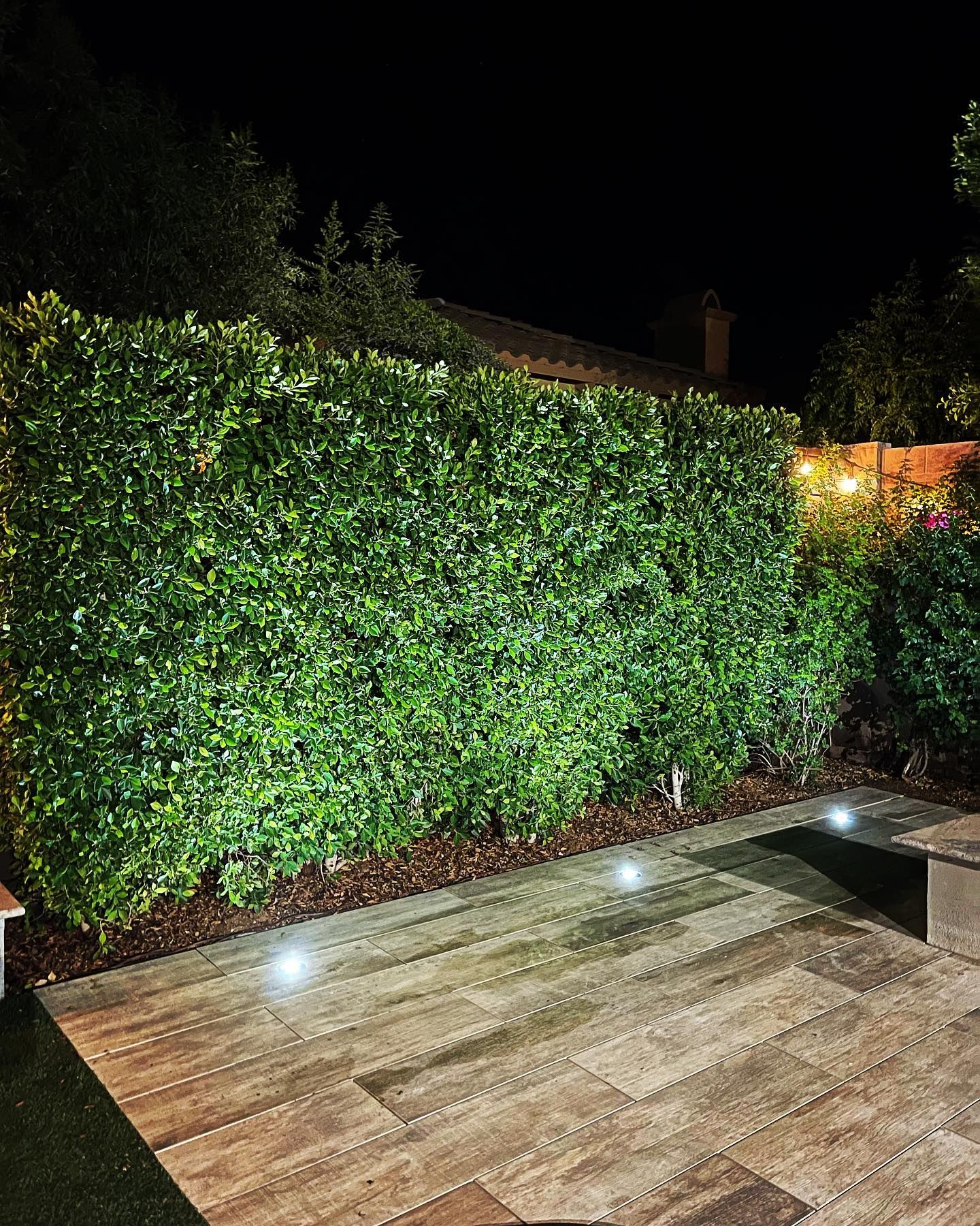 Night patio with a tall green hedge, wooden deck, and small ground lights illuminating the area