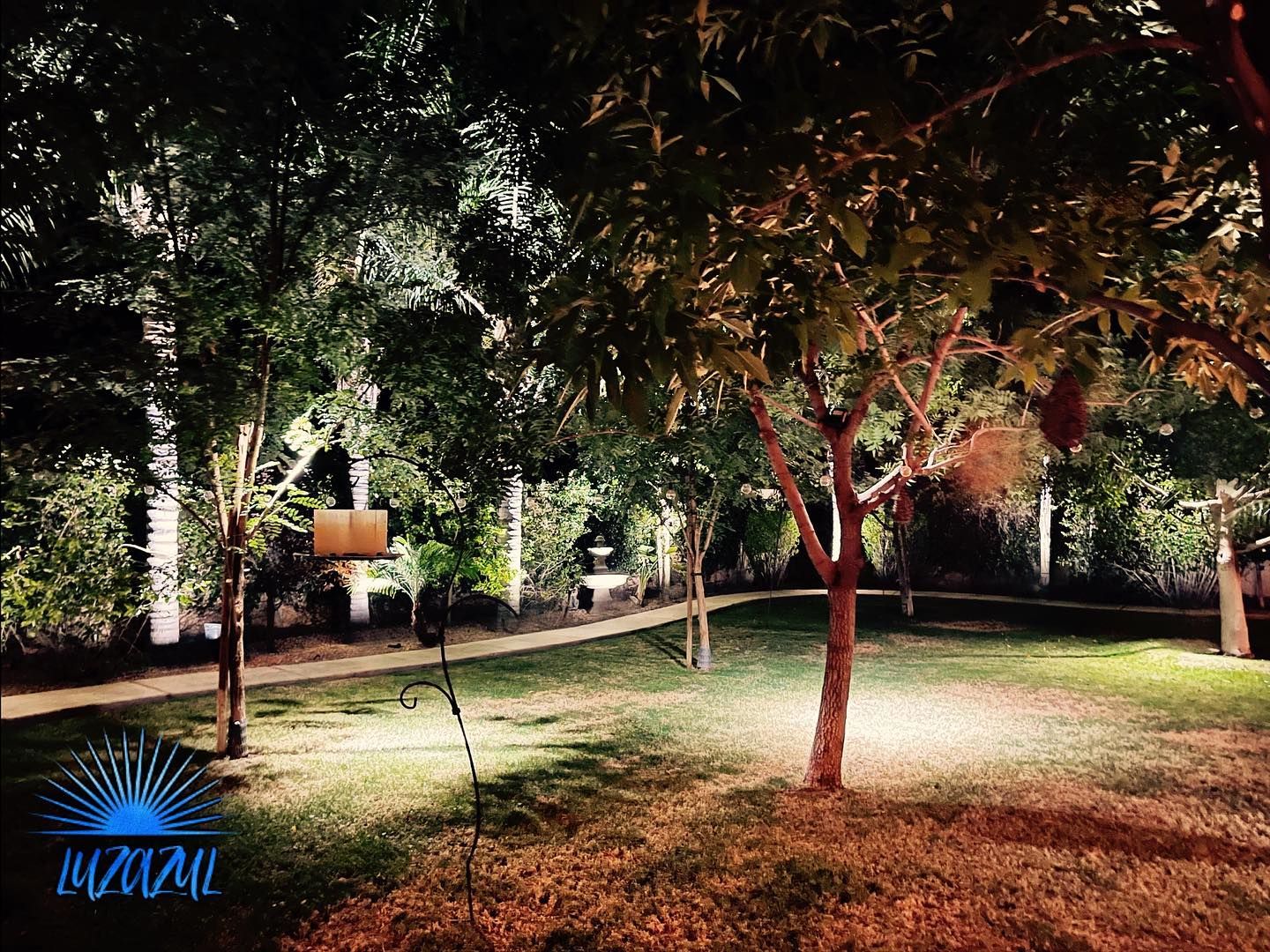 Nighttime park with lit trees, grass, and a winding path illuminated by garden lights