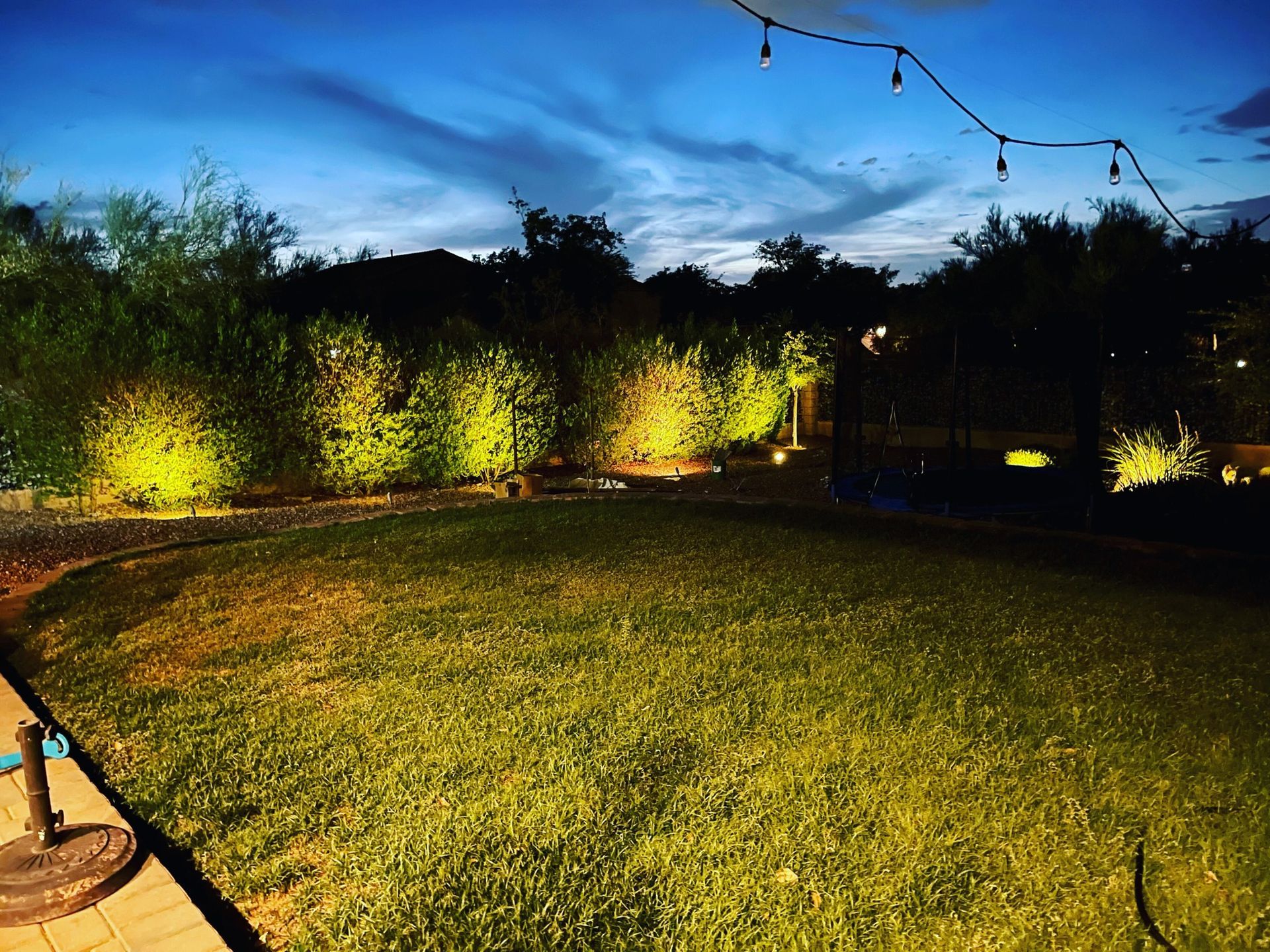 Lit backyard lawn at dusk with string lights and illuminated trees under a blue evening sky