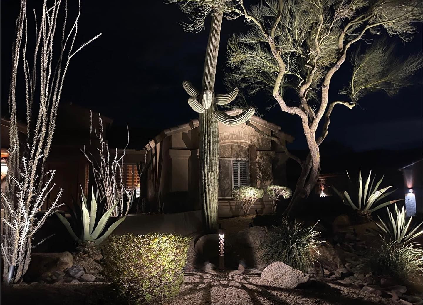 Night-lit desert-style house exterior with trees, cacti, and glowing landscape lights