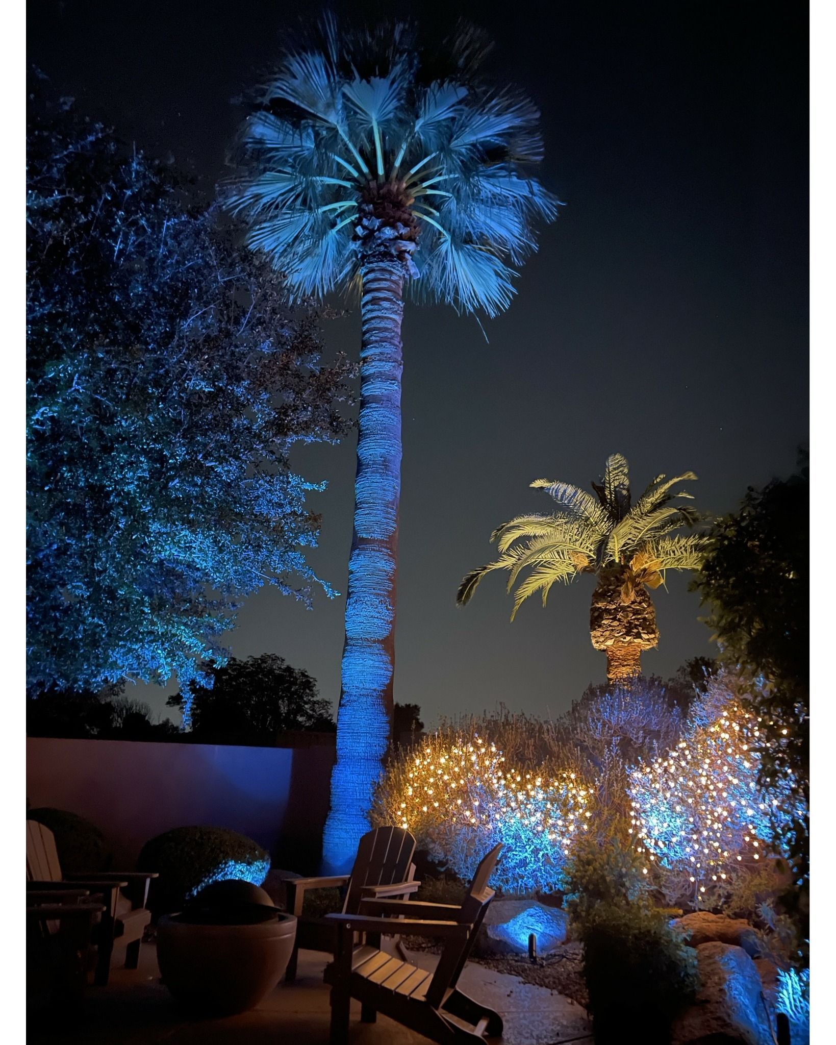 Blue-lit palm trees and glowing lights in an outdoor garden at night