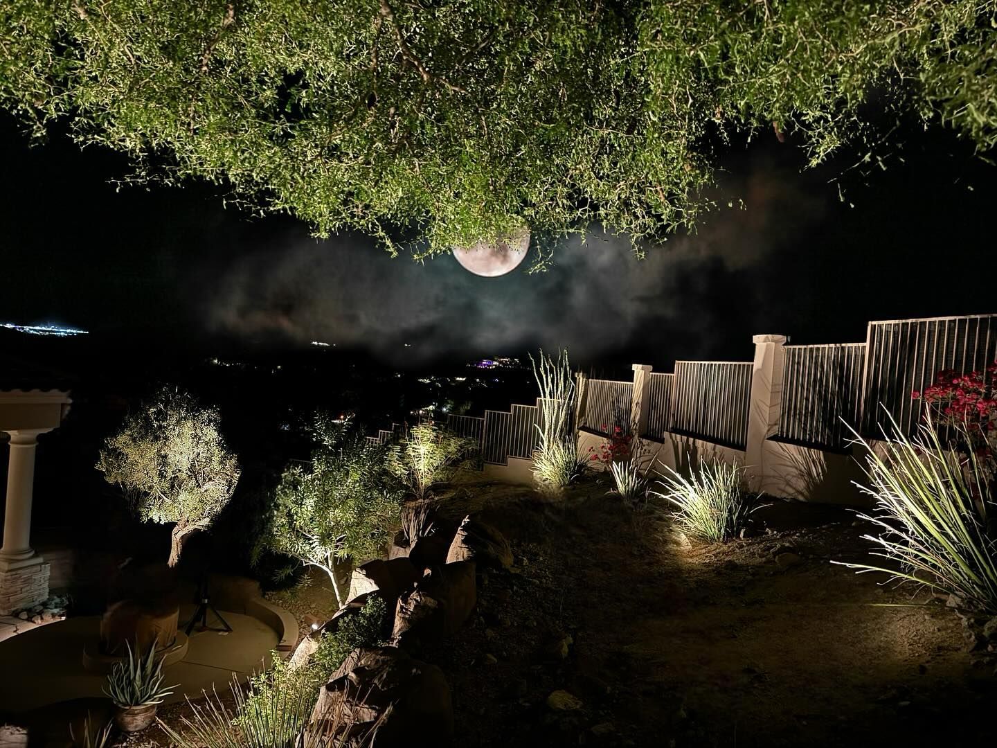 Moonlit garden with trees, shrubs, and illuminated steps beside a dark pond