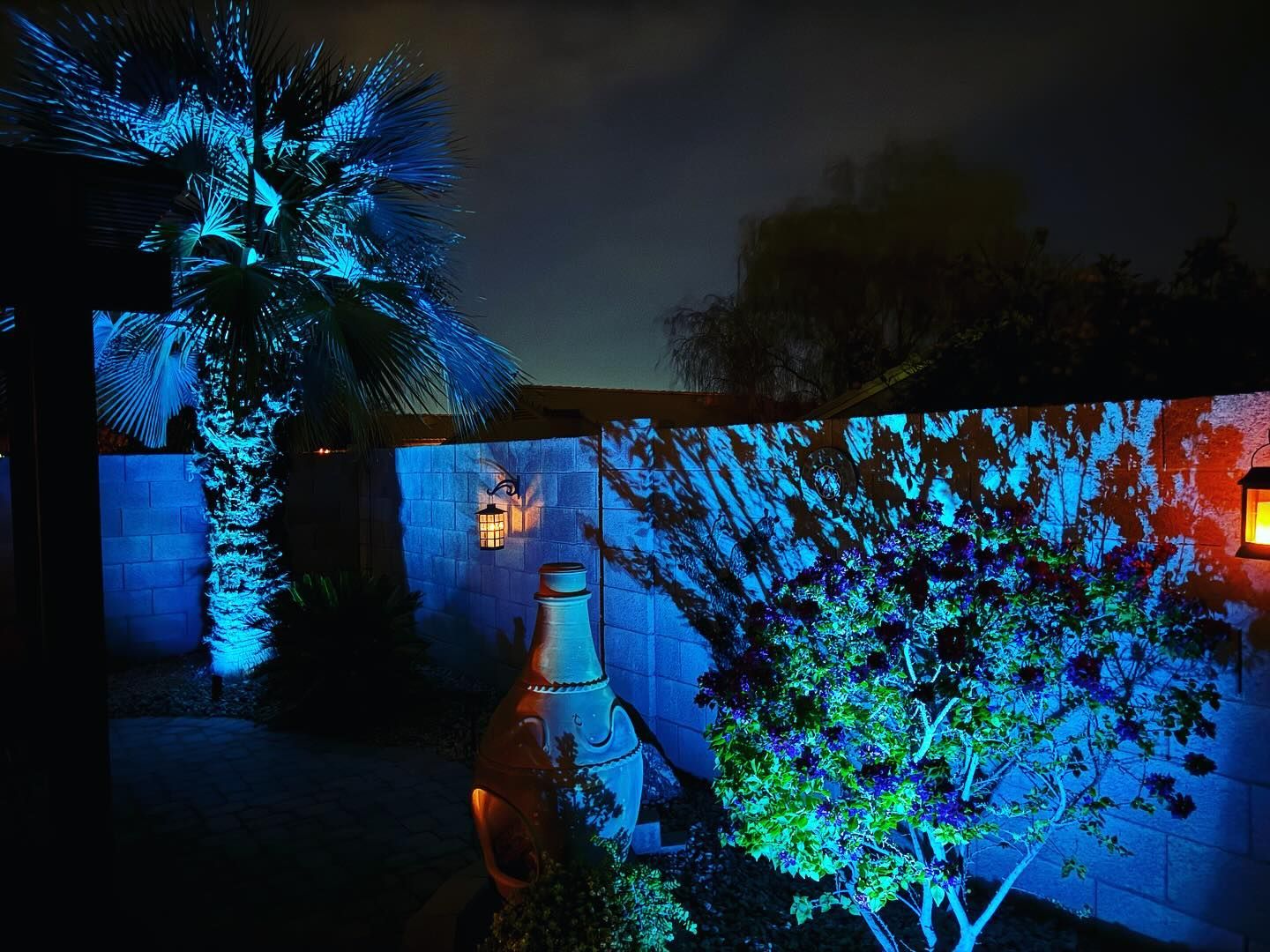 Blue-lit backyard at night with a palm tree, white wall, and colorful illuminated bush