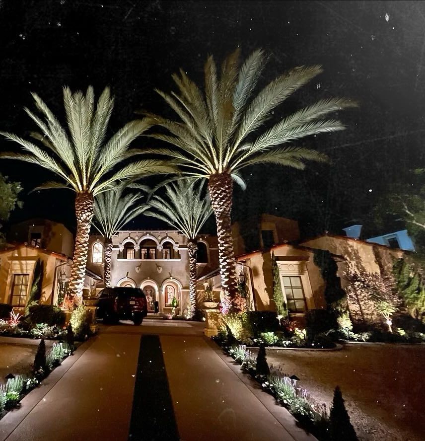 Nighttime view of a lit mansion with tall palm trees and a central driveway leading to the entrance
