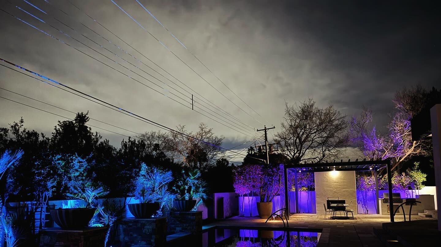 Nighttime backyard with trees and a house lit in blue and purple under a cloudy sky