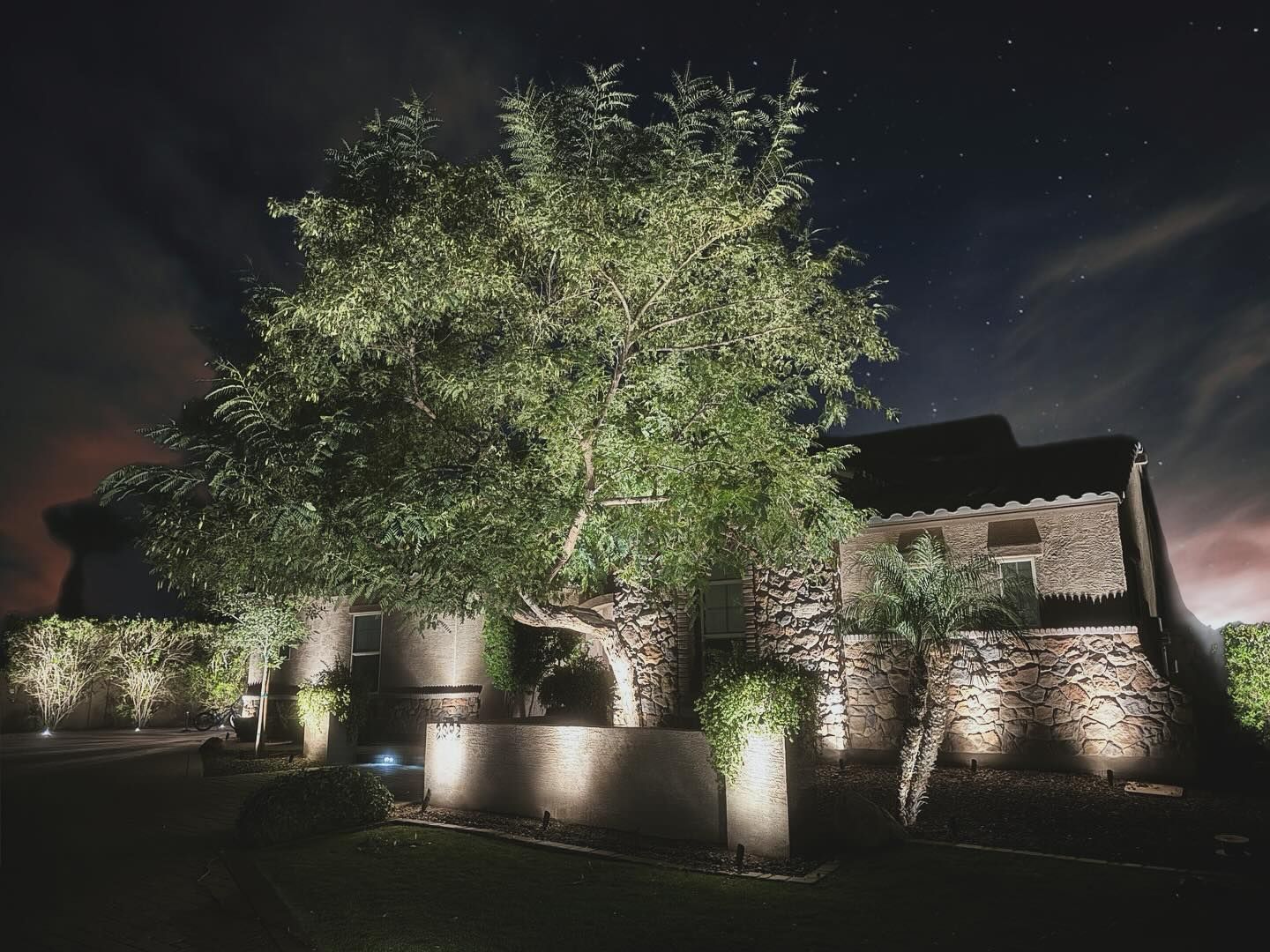 Nighttime landscape with illuminated trees and stone buildings under a dark sky