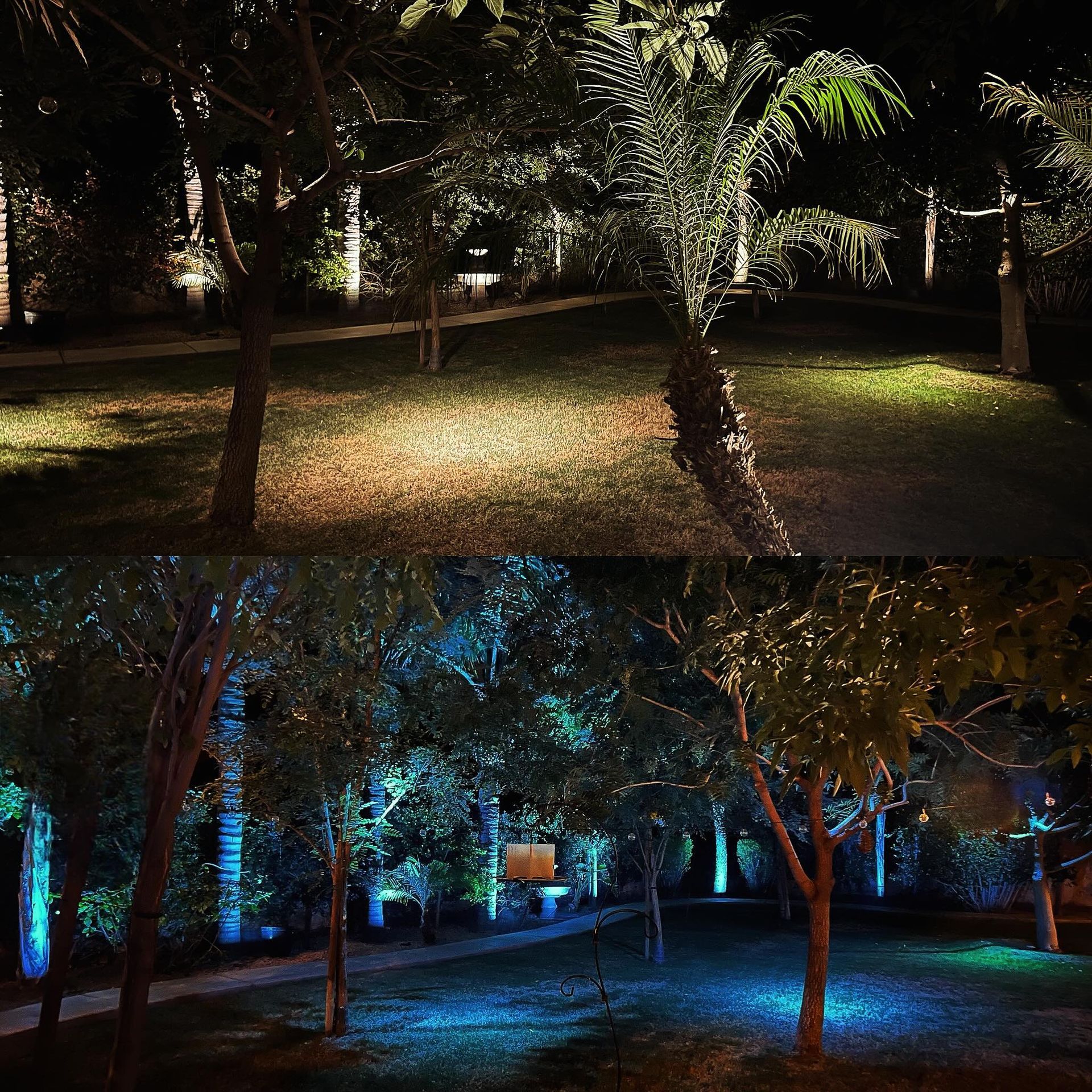 Two nighttime park views side by side: warm yellow lighting above, blue lighting below, with palm and tree silhouettes
