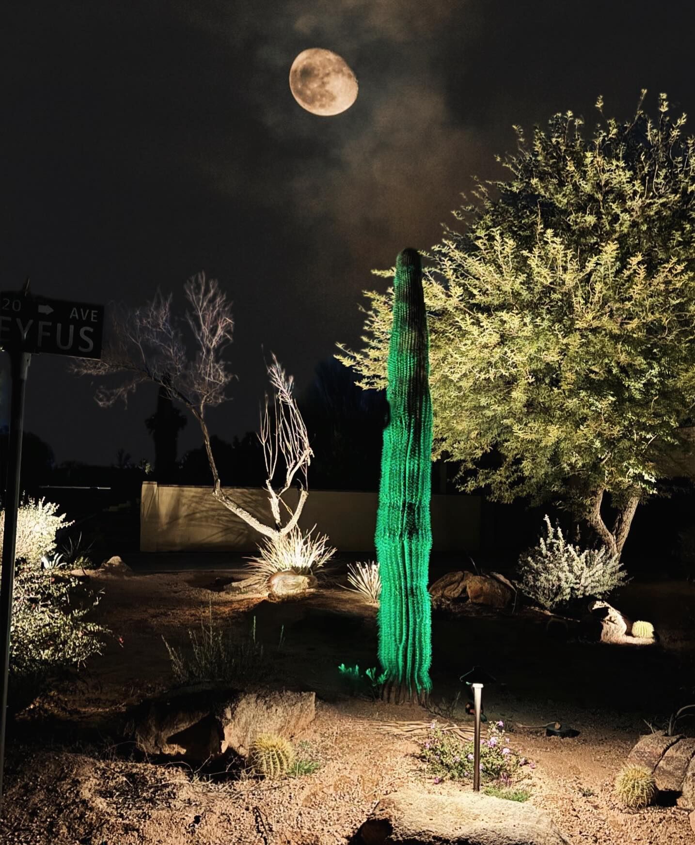 Moonlit desert garden with a tall green-lit cactus sculpture and illuminated trees at night