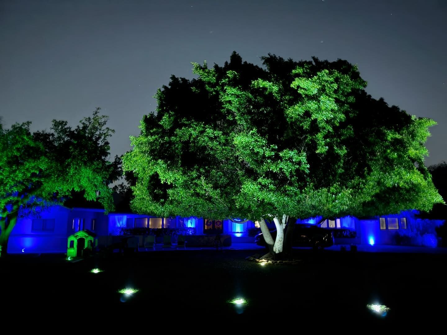 Illuminated trees and building at night, lit with blue and green lights