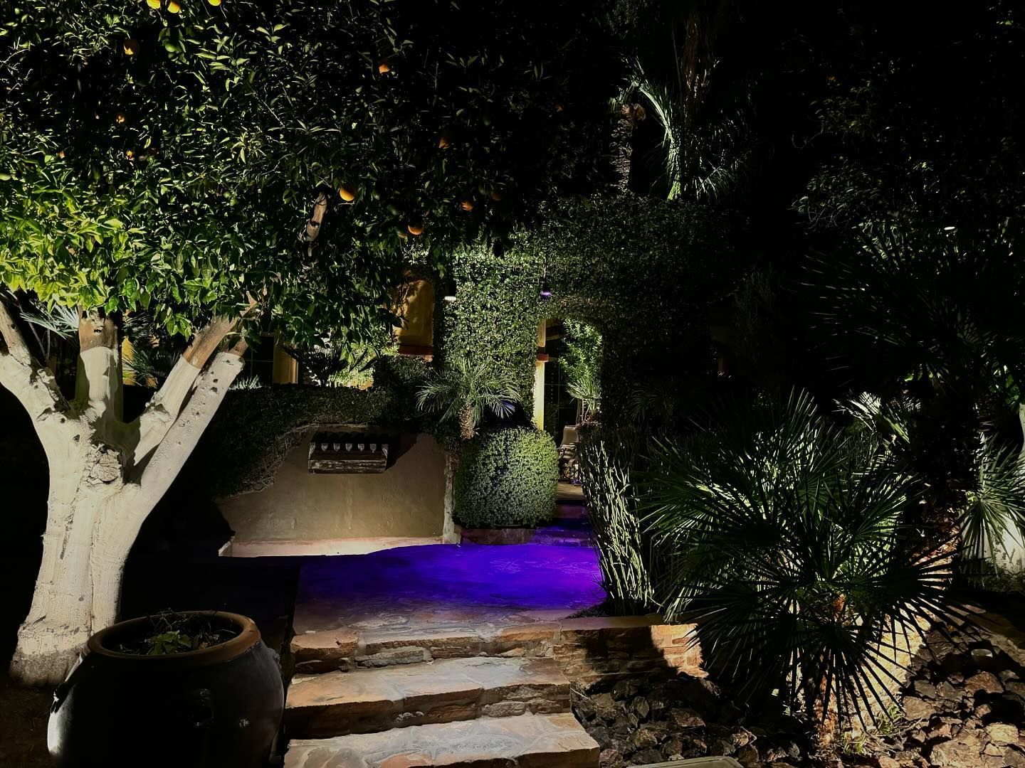 Nighttime garden path with purple ground lighting, stone steps, and trees
