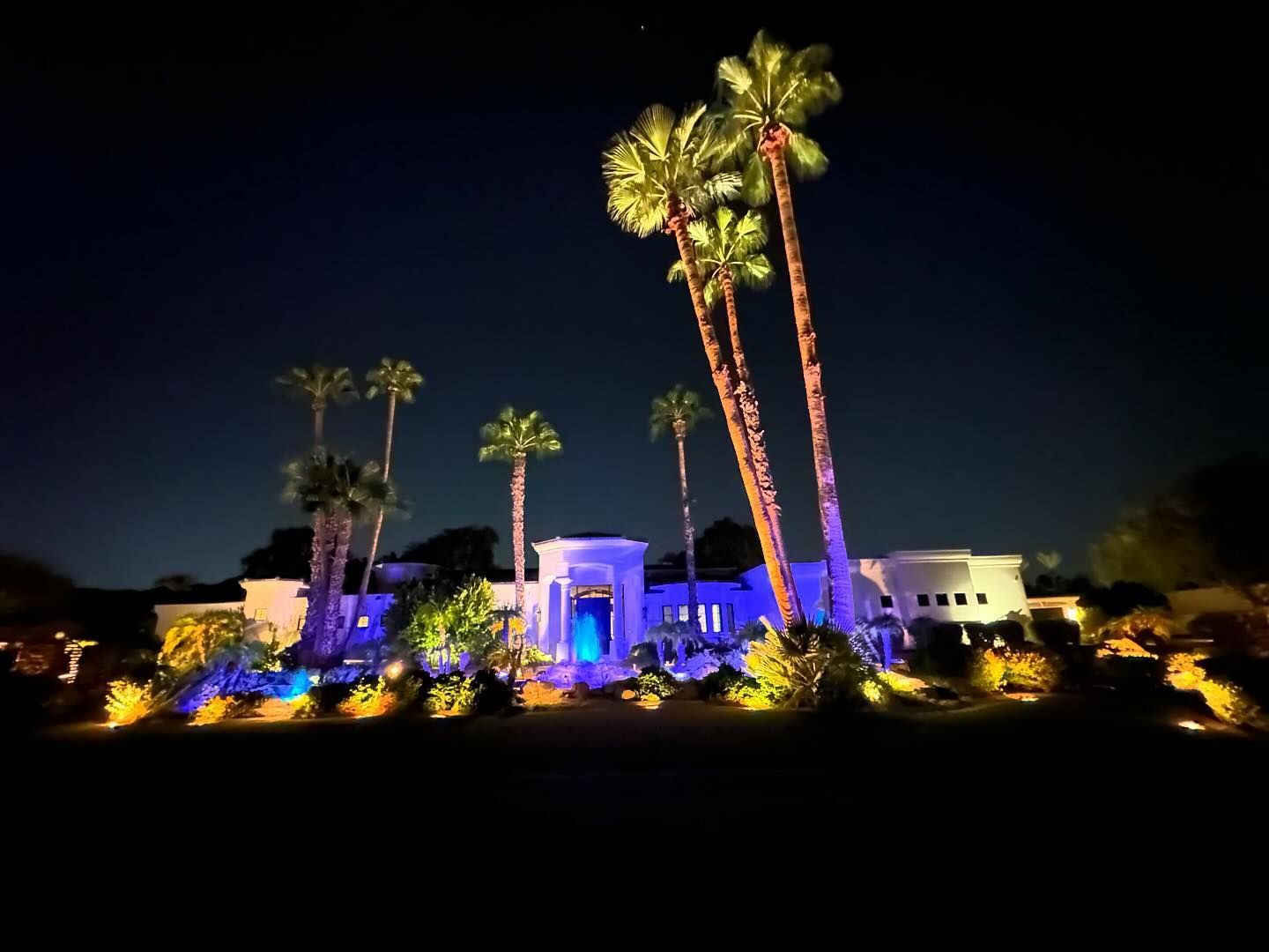 Lit building at night with blue-purple lights and tall palm trees against a dark sky