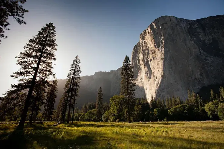 Are You Stressed? Get Outside!