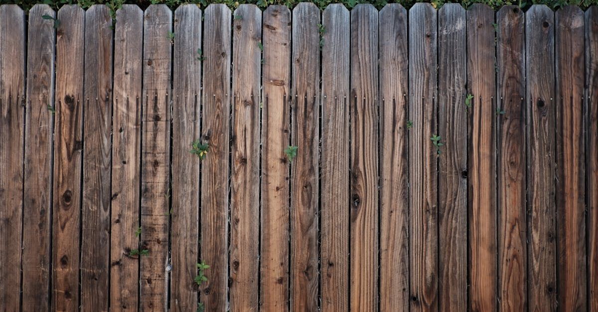 A close up of a wooden fence with trees in the background.