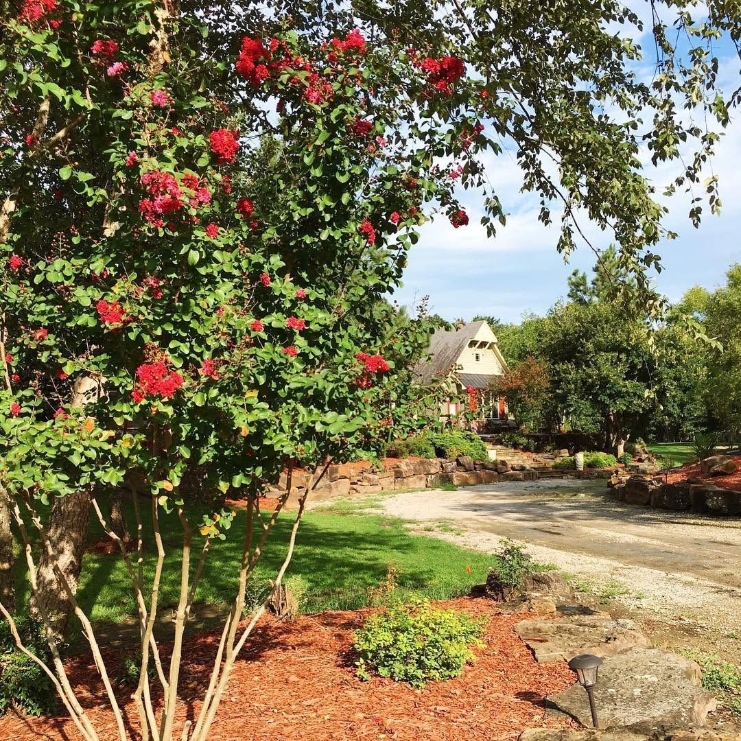 Blooming red flowers and a stone path in a sunny garden, with a thatched hut in the distance.
