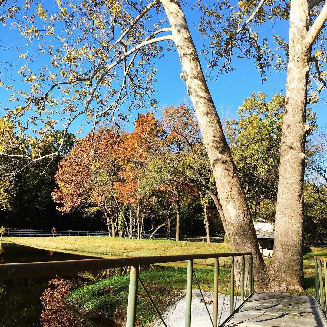 Autumn park scene with trees, a pond, and a wooden bridge under a blue sky