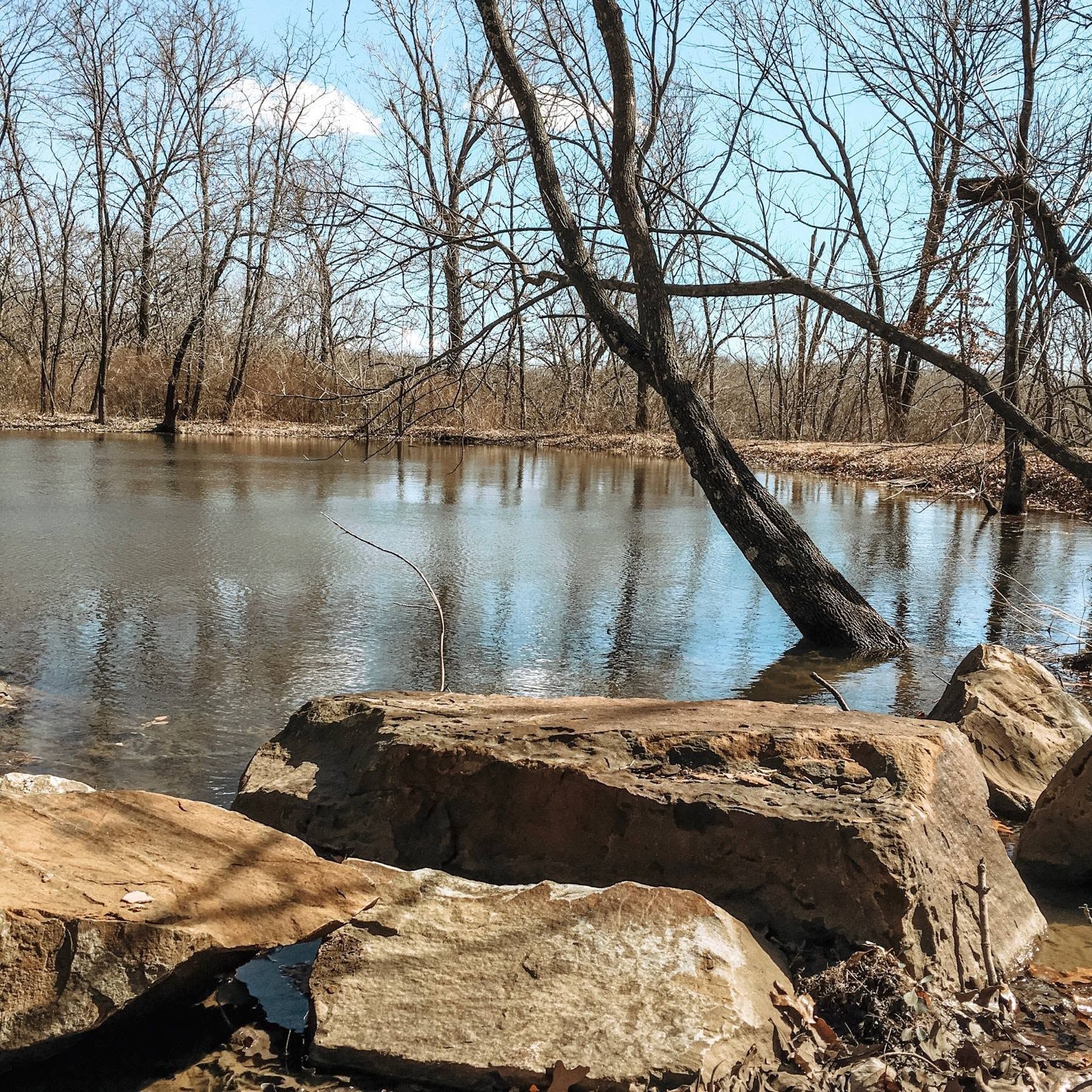 Rocky riverbank beside a calm pond, with leafless trees reflected in the water