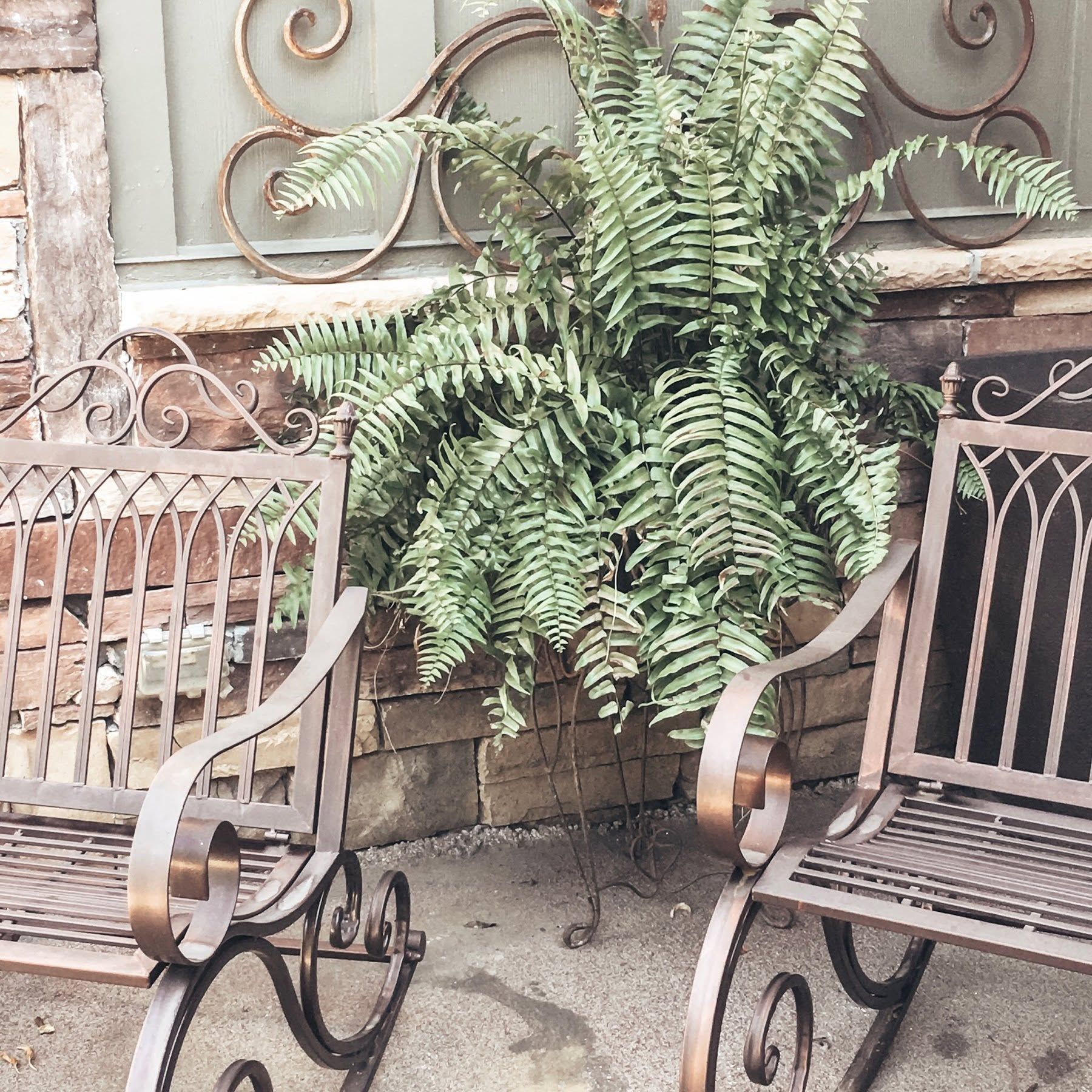 Two brown wrought-iron chairs beside a large fern in a decorative outdoor patio corner