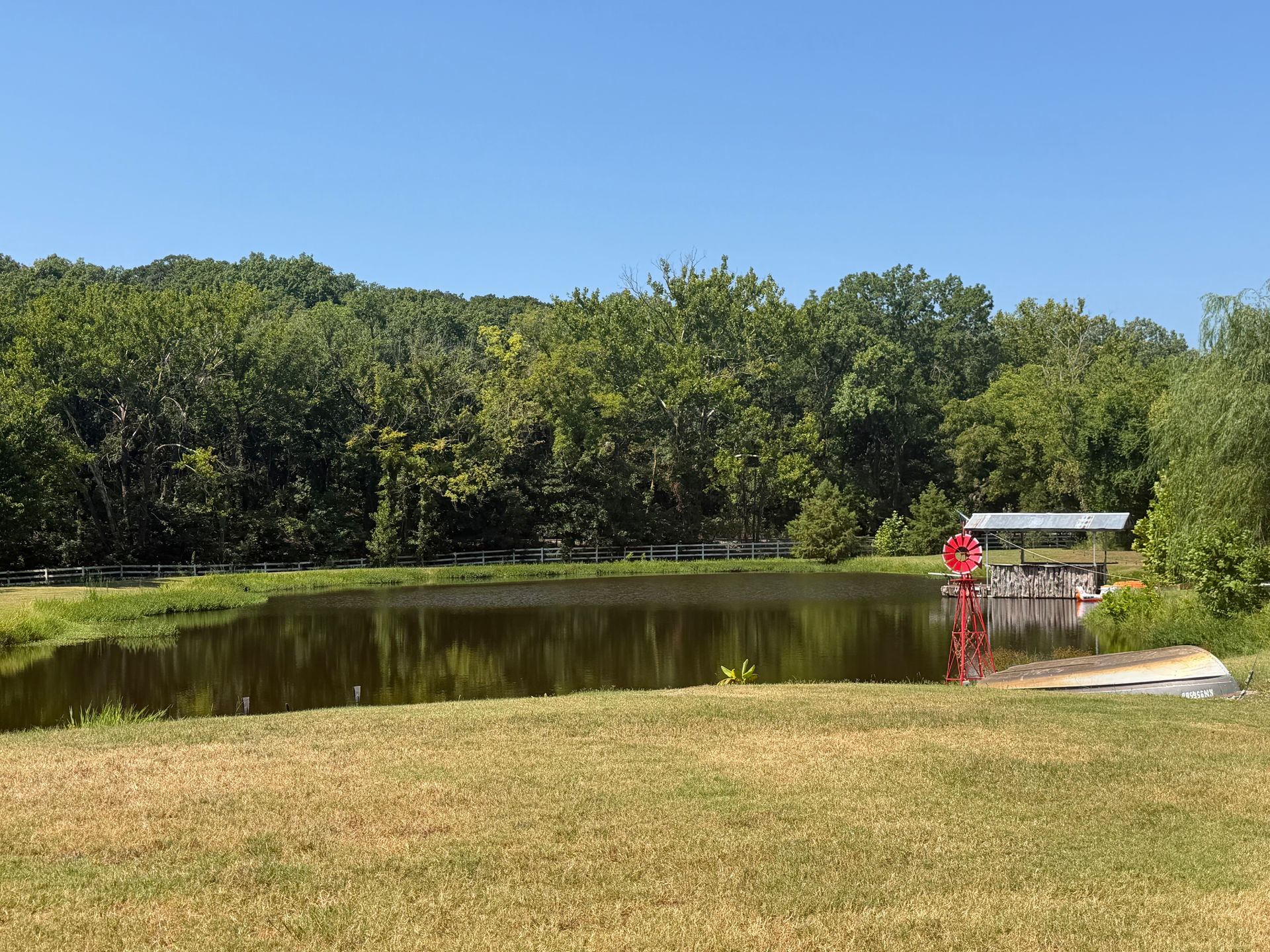 Small pond beside a grassy field and trees, with a person in red near a dock under a blue sky