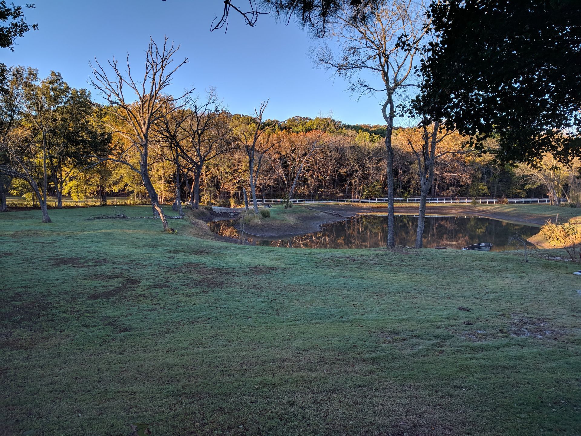 Grassy park with a pond, leafless trees, and warm sunlight at sunset