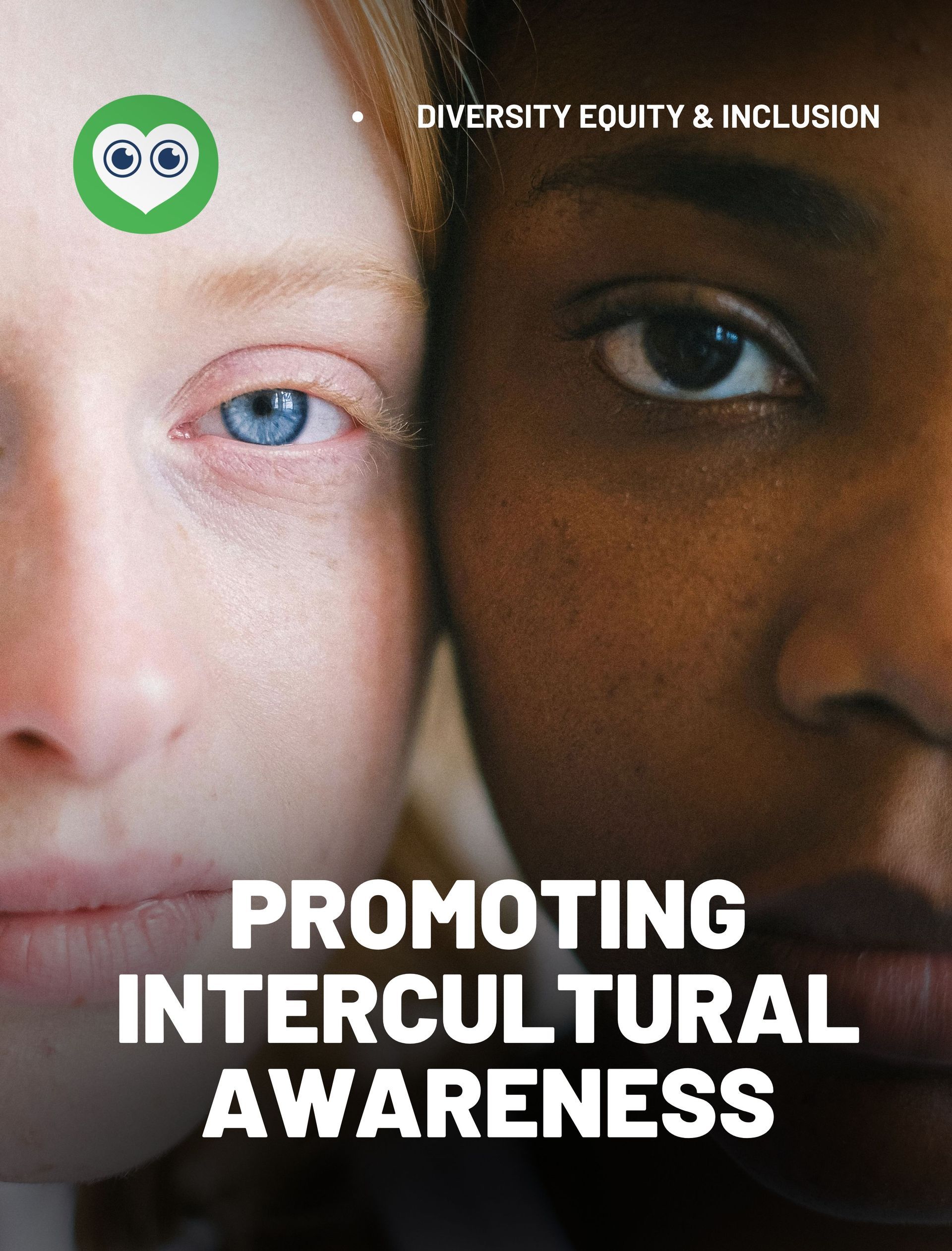 A poster that says promoting intercultural awareness on it