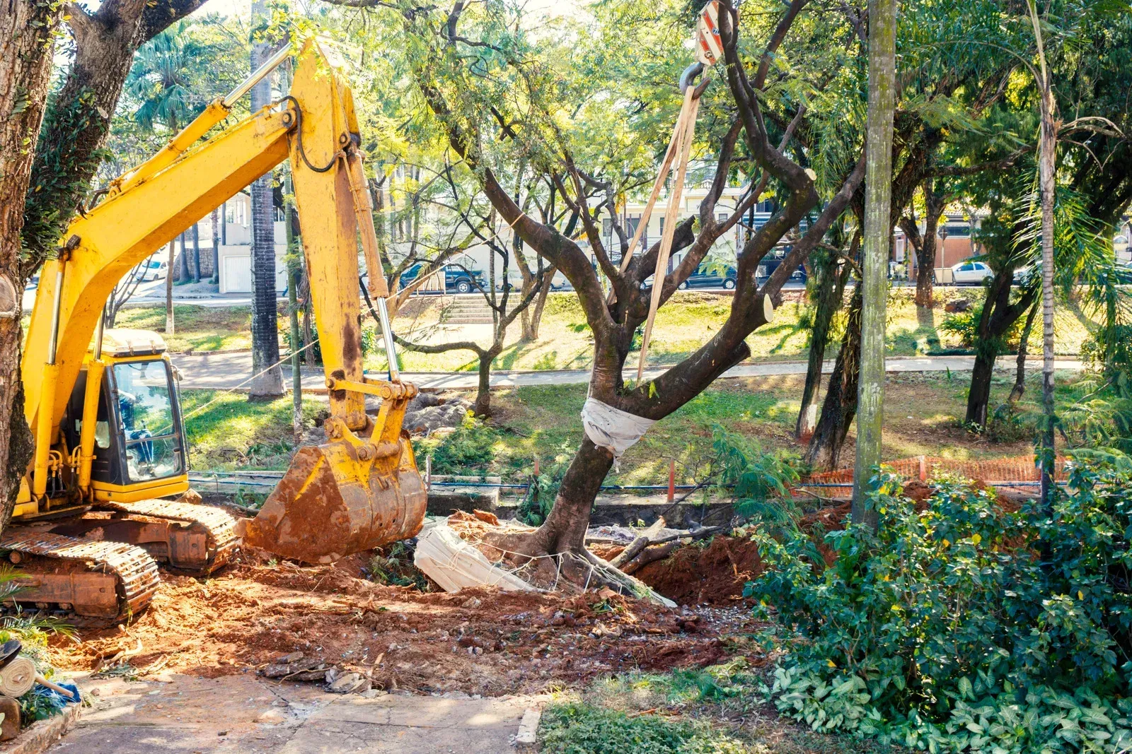 Yellow excavator digging near trees in a park. Brown dirt and green foliage surround it. Sunlight visible.
