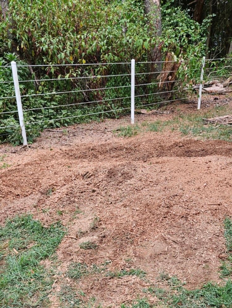 A small fenced-in area with disturbed soil, green grass, and trees in the background.