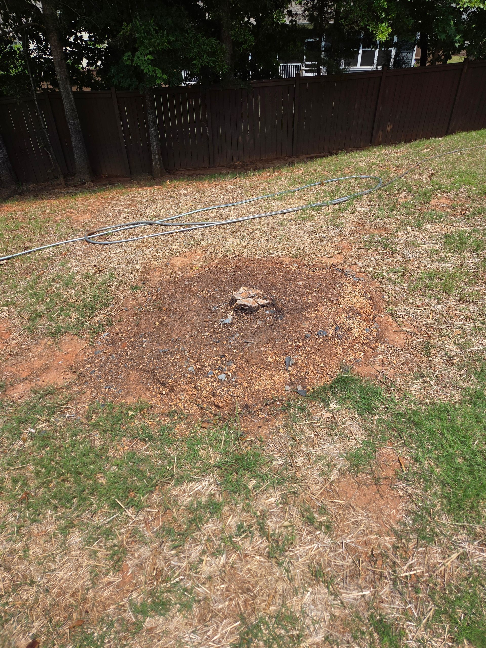 Tree stump in a grassy yard, surrounded by wood chips, near a brown fence.