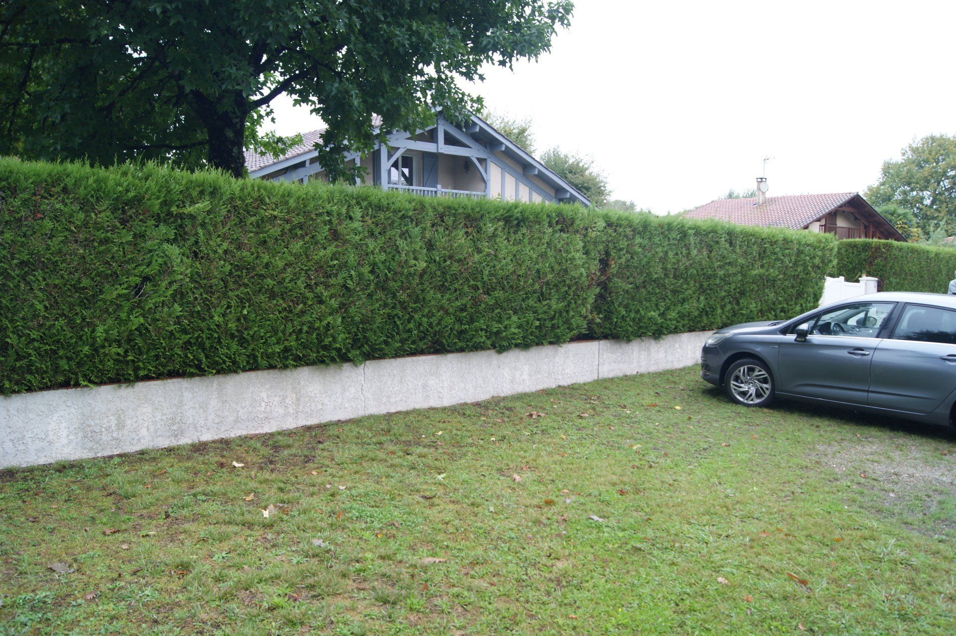 Remplacement de haie par une clôture