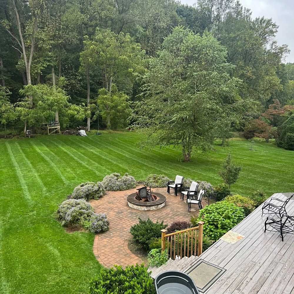 Clean backyard garden