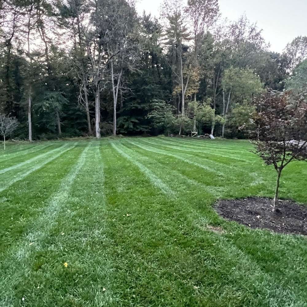 A lush green lawn with trees in the background and a tree in the middle of the lawn.