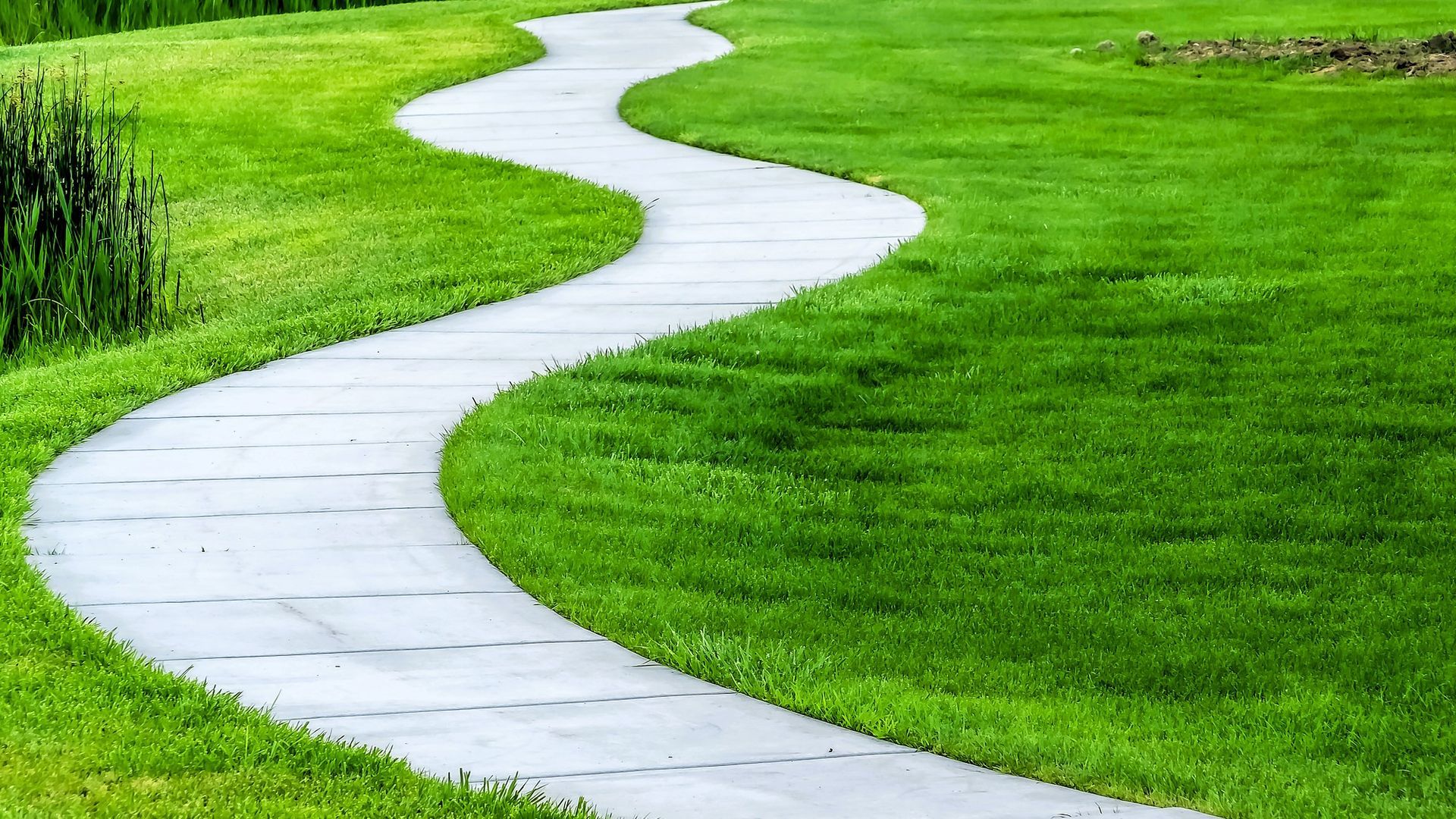 A winding concrete pathway cutting through lush green grass