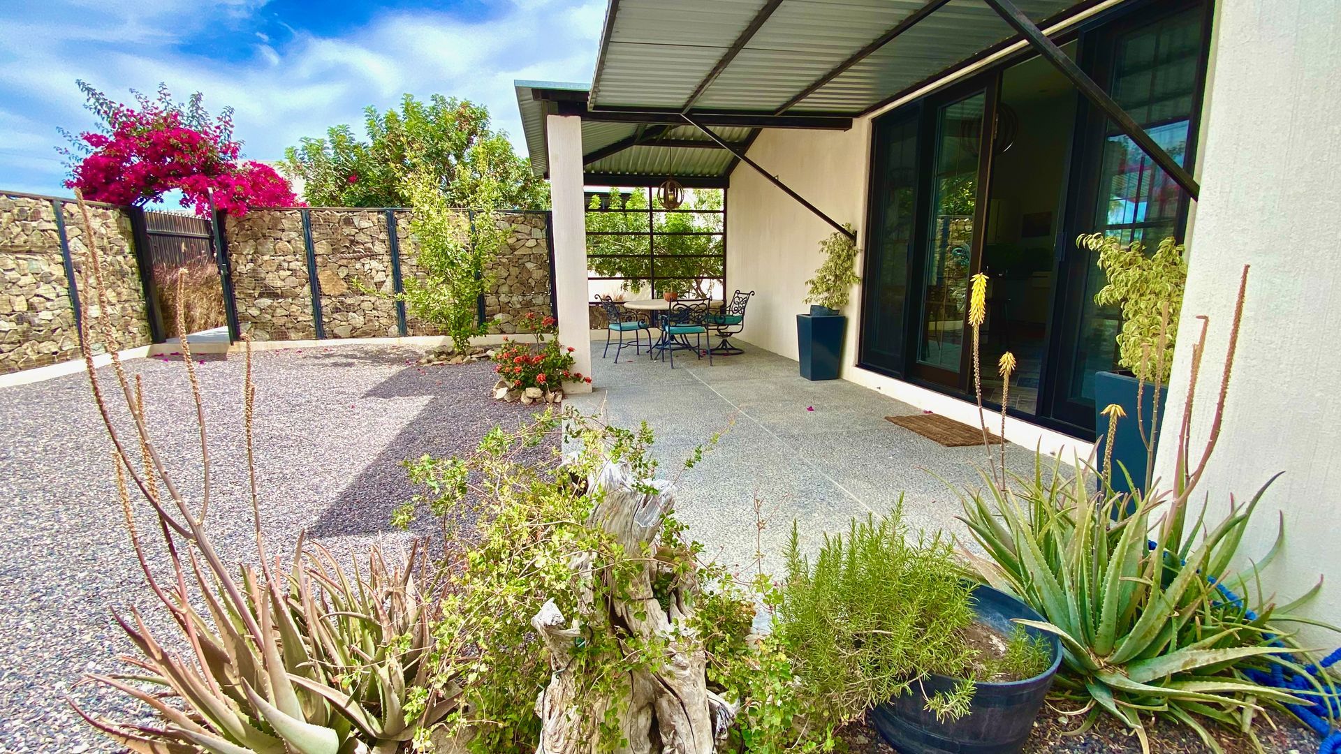 Modern house patio with potted succulents, gravel garden, and a bright pink flowering tree