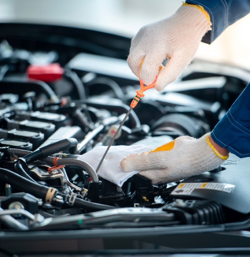 Technician checking engine during routine auto repair and service at Scotts Valley Transmission & Auto Care.