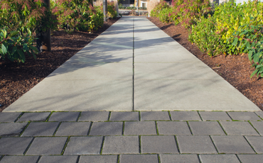 sunset shot of concrete sidewalk surrounded by shrubs and rocks.