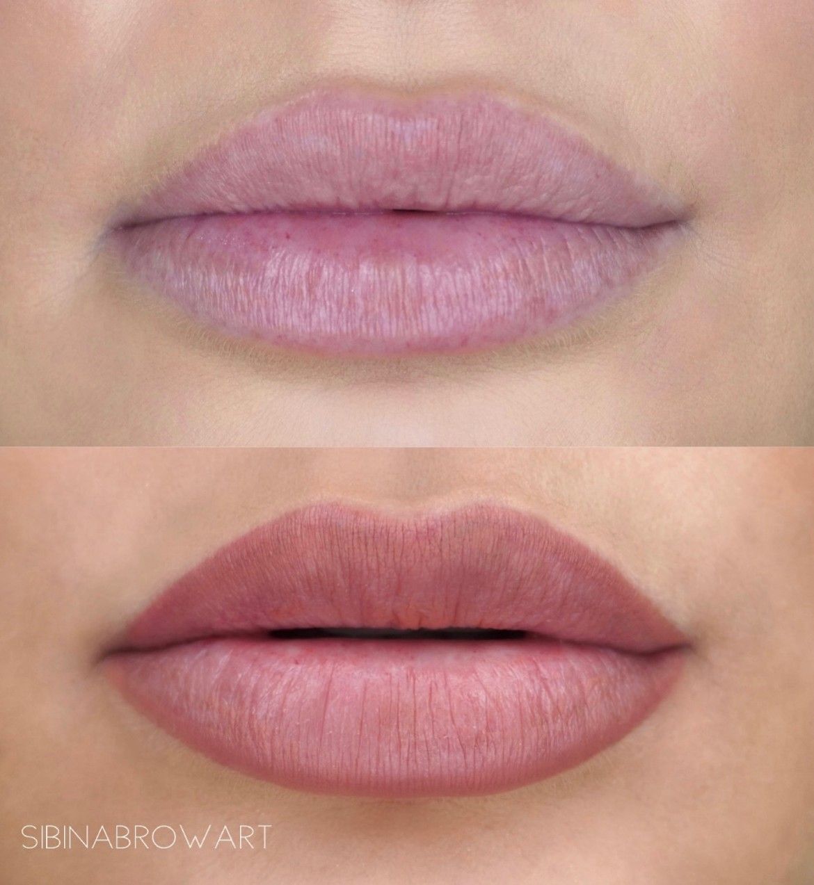 A before and after photo of a woman 's lips — Sibina Cosmetic Tattoo Art In Broadbeach, QLD