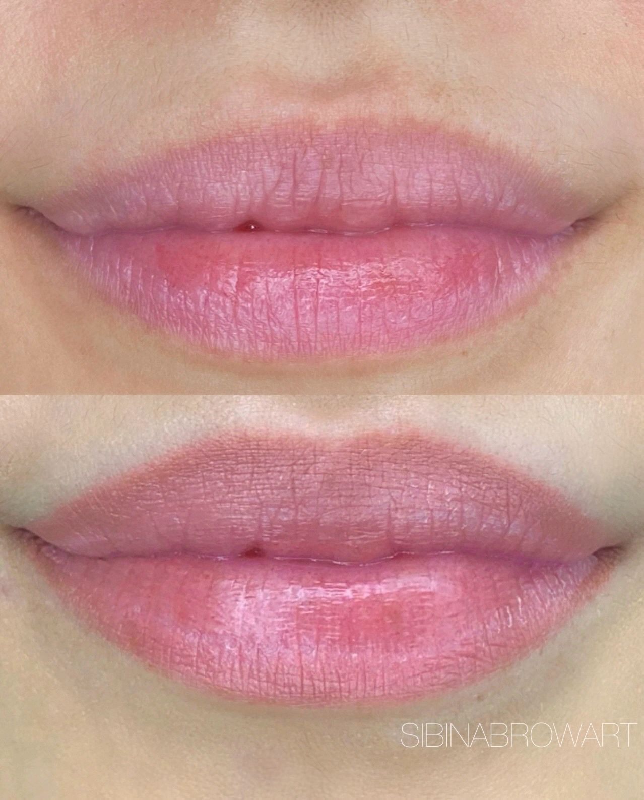 Close-up of lips with pink lipstick, shown in two stacked views for comparison.