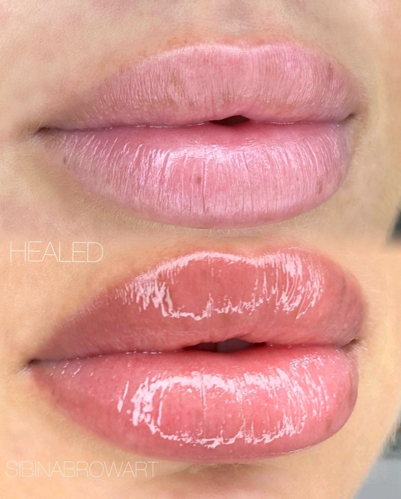 Close-up comparison of two glossy pink lip looks, one soft matte and one shiny, plumper finish.
