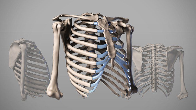 rib pain car accident chiropractor personal injury