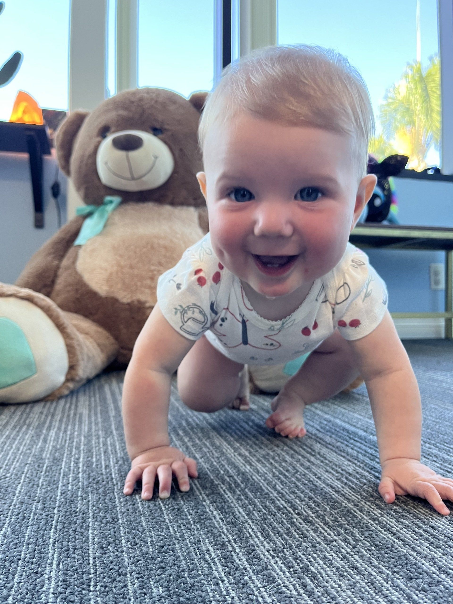crawling milestones newborn pediatric chiropractor family chiropractor