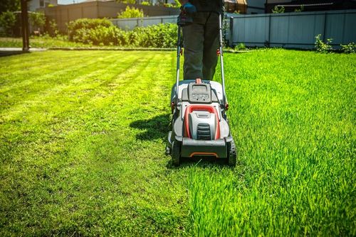 Person mowing a bright green lawn with a red and white push mower in a backyard
