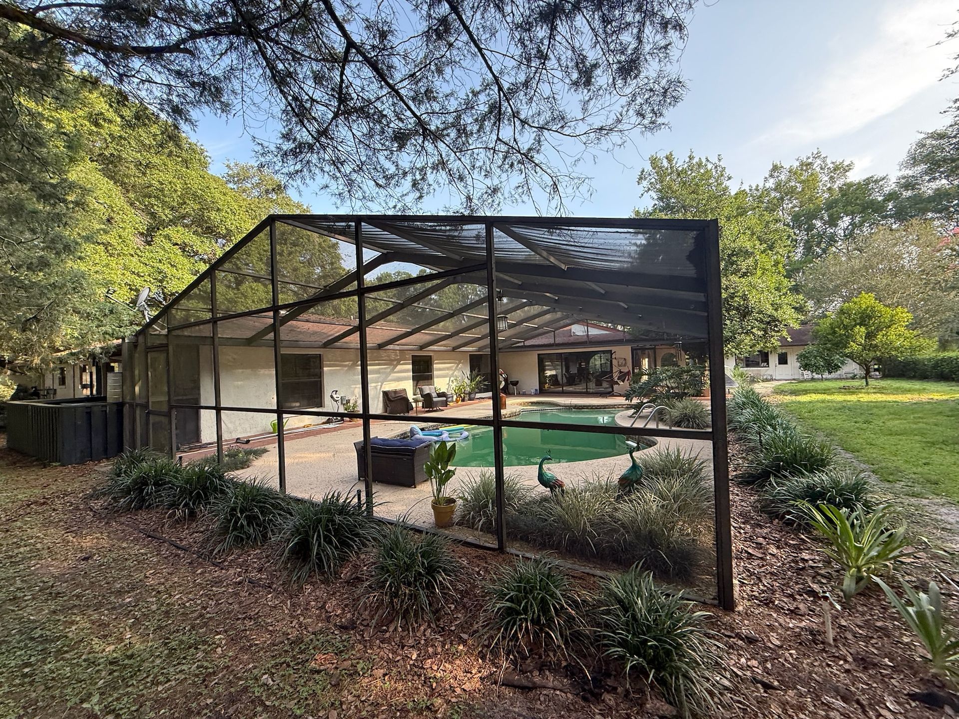Pool enclosure with a screened roof; yard with trees. Two peacocks visible.